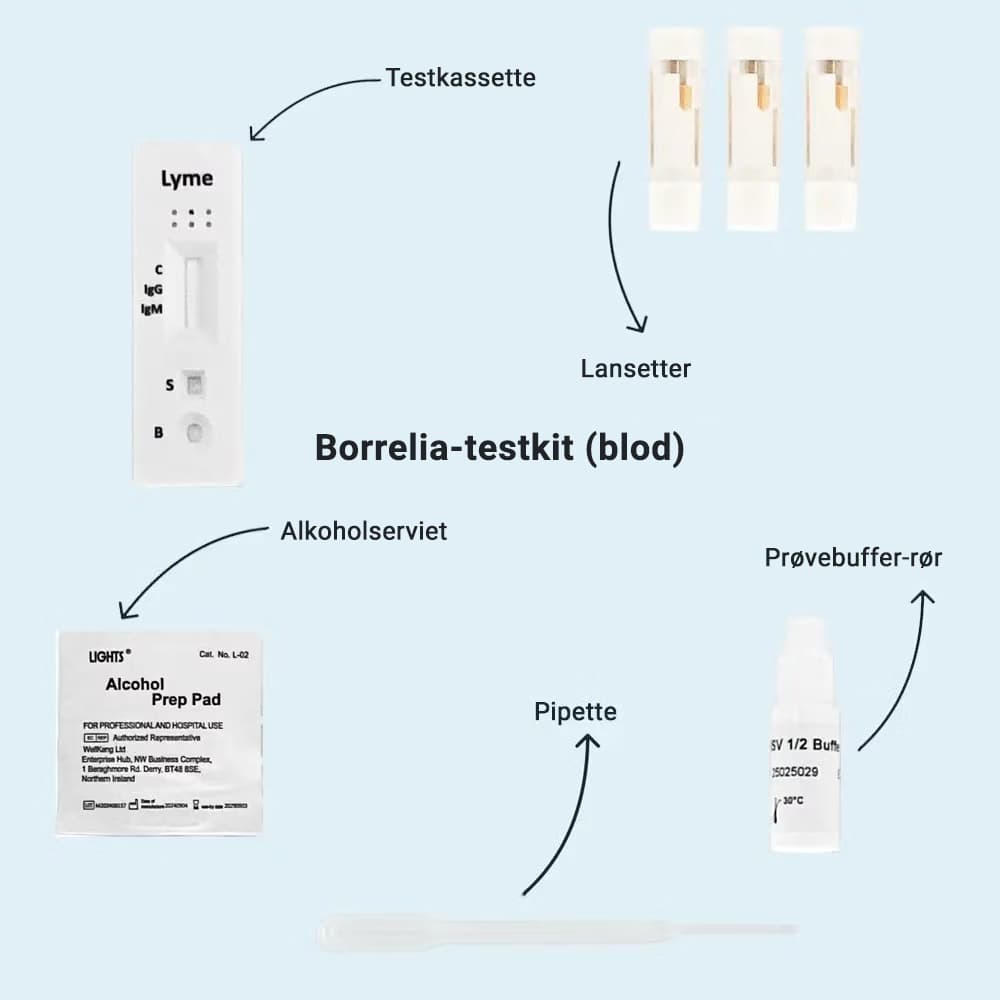 hero swiper big card